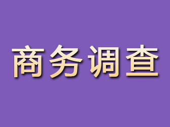 湛江商务调查